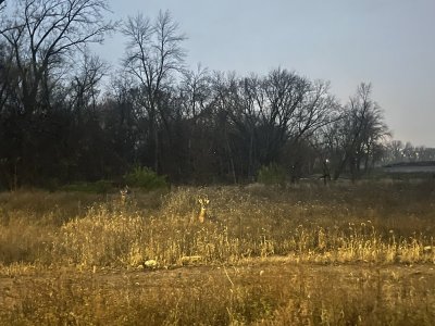 IMG_6556.jpeg