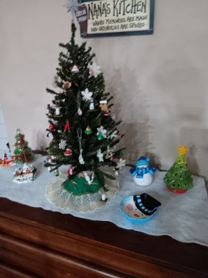 20241126_052515.jpg