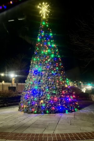 IMG_3714.jpeg