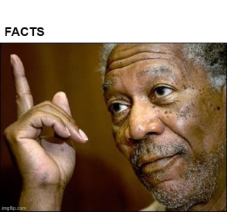 1732740248032.png