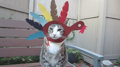 IMG_1601.gif