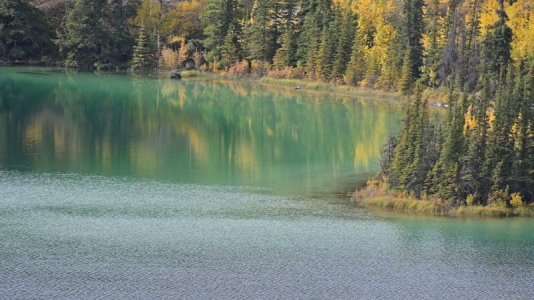 Emerald Lake1.JPG Emerald Lake1.JPG