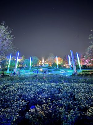 IMG_1744.jpeg