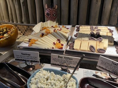 IMG_9067.jpeg