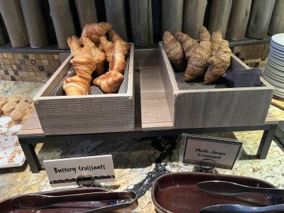 IMG_9087.jpeg