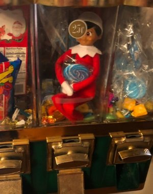 IMG_2237.jpeg