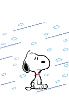 cold-day.gif