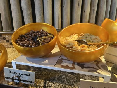 IMG_9126.jpeg