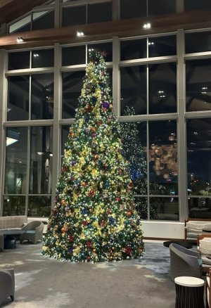 IMG_3745.jpeg