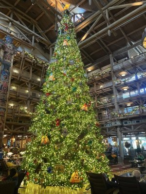 IMG_3278.jpeg