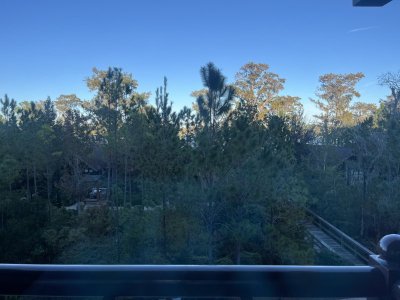 IMG_3287.jpeg