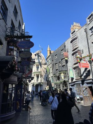 IMG_3764.jpeg