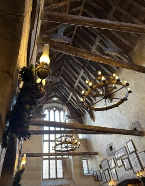 IMG_3761.jpeg
