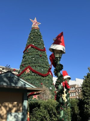IMG_3752.jpeg