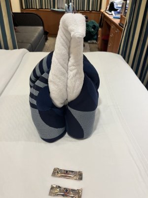 towel animal.jpeg
