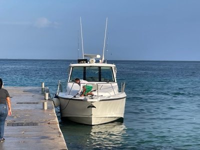 IMG_5935.jpg