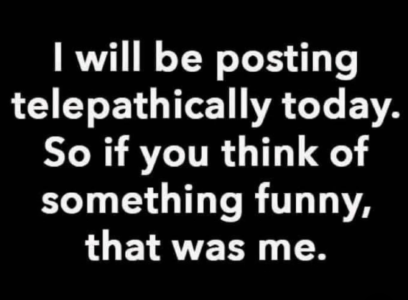 1733244185157.png