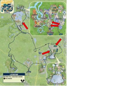 MW 2025 DIS powerpoint (small)2.jpg