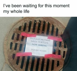 TMNT.png