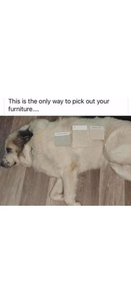 1733353260603.png
