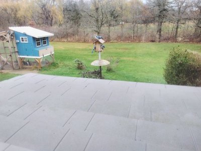 20241121_090838.jpg