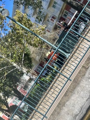 IMG_9453.jpeg