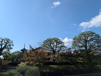 PXL_20241103_004654066.jpg