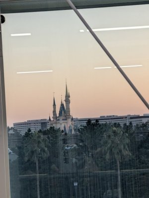 PXL_20241103_074555221.jpg