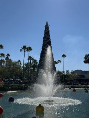 IMG_2413.jpeg