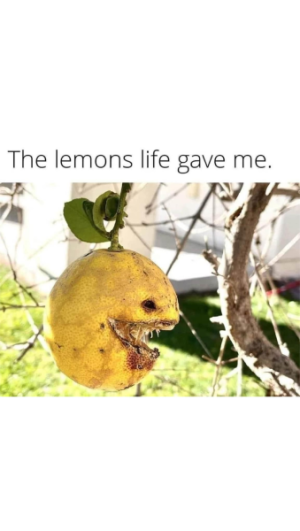 1733626641598.png