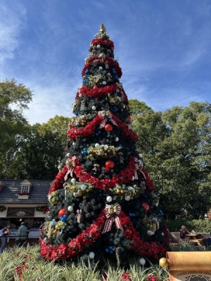 IMG_2428.jpeg