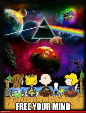 PeanutsAndFloyd.jpg