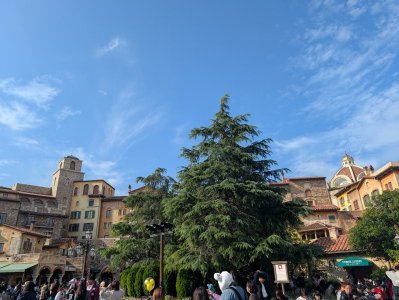 PXL_20241105_002657525.jpg