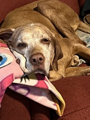 IMG_3278.jpeg