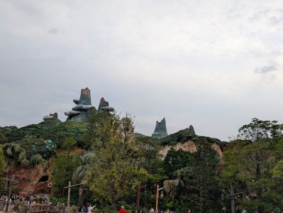 PXL_20241105_065130184.jpg