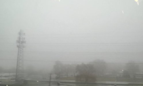 IMG_3721.jpeg