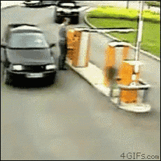 1733953332003.gif