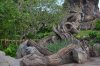 DSC_0153TR.jpg