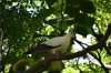 DSC_0185TR.jpg