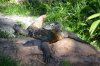 DSC_0166TR.jpg