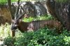 DSC_0206TR.jpg