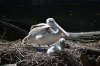 DSC_0210TR.jpg