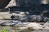 DSC_0213TR.jpg