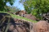 DSC_0246TR.jpg