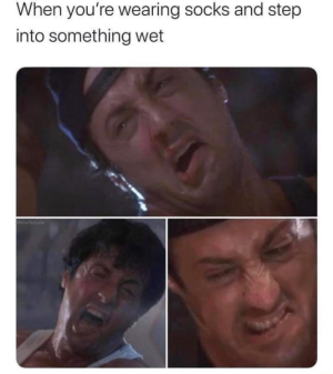 1734055005523.png
