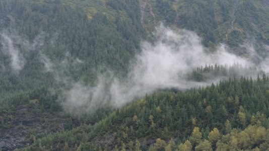 fog.JPG