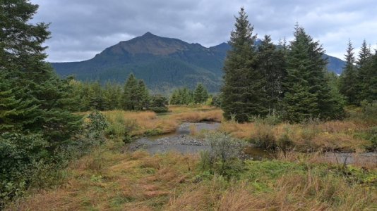 Mendenhall scenery.JPG