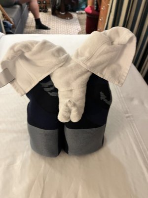 towel animal.jpeg