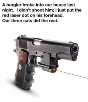 cats.png