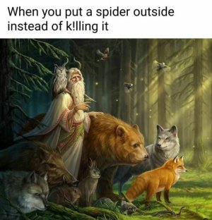 700.jpg